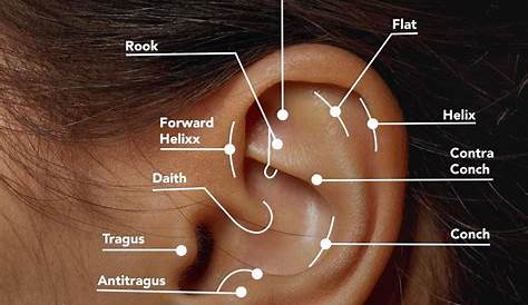 ear piercing pain chart scale