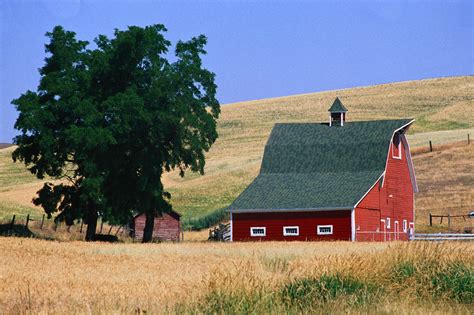 Rural population refers to people living in rural areas as defined by national statistical offices. Moving to a Rural Area DFW Movers - Dallas and Fort Worth ...