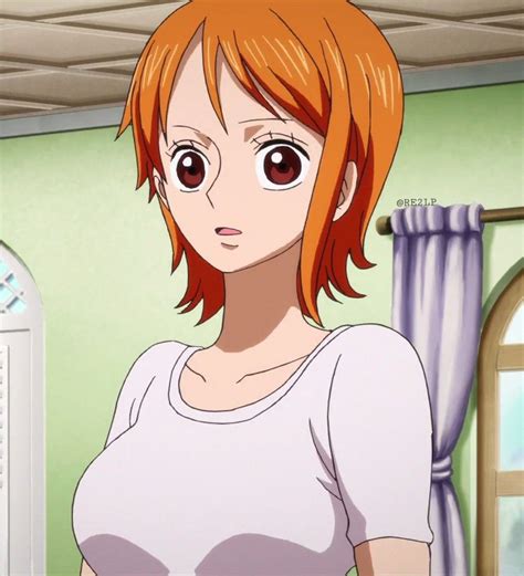 One Piece Episode Of Nami Onepiecejullle