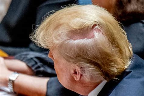 New Book Reveals The Secrets Behind President Donald Trump S Bizarre Hairdo Ladbible