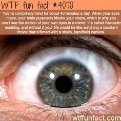 Facts About The Human Eyes Artofit