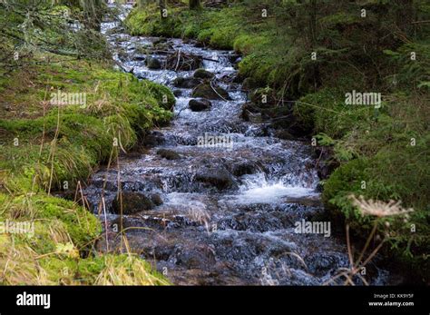 Beautiful Mountain Stream Running Down The Side Of A Hill Stock Photo