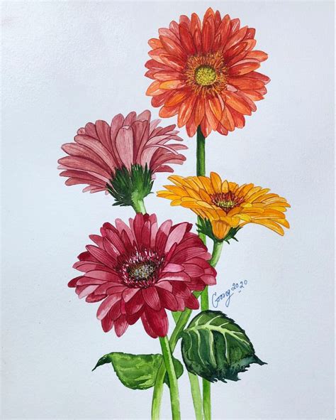Gerbera Daisy Watercolor Painting