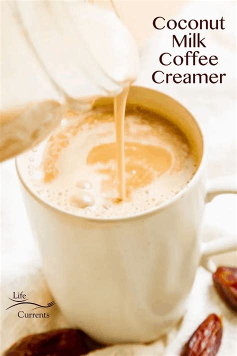 30 Homemade Coffee Creamer Recipes You Can Diy Easily