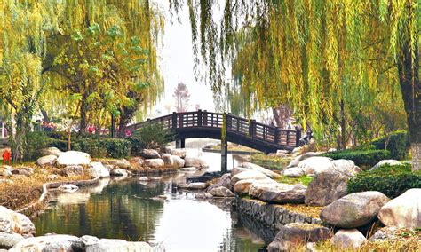 Xian China Psa International