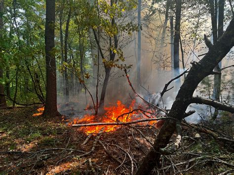 brush fires continue to burn in mass but rain is forecast for monday tuesday