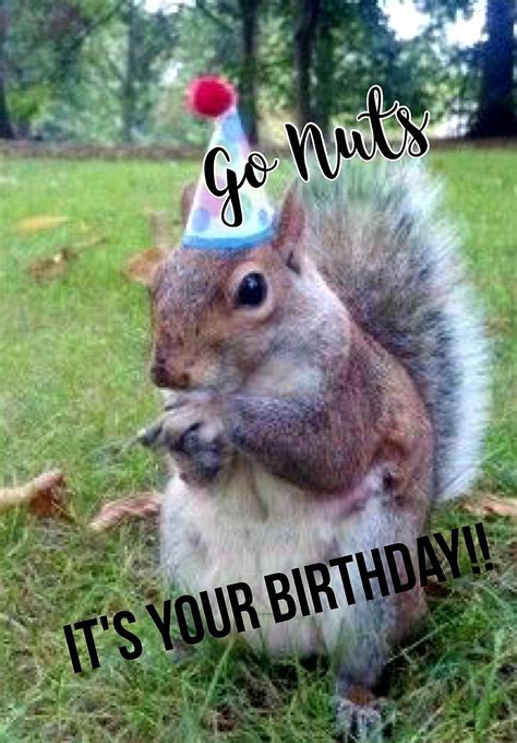 Squirrel Birthday Card Vintage Birthday Wishes