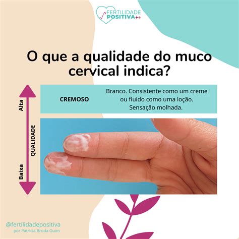 Outros Elementos Muco +