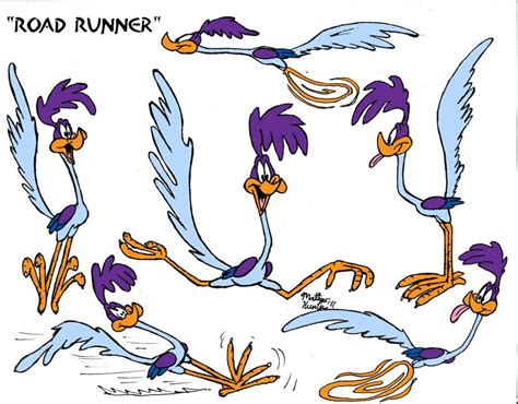 Road Runner Model Sheet By Matthewhunter On Deviantart Looney Tunes