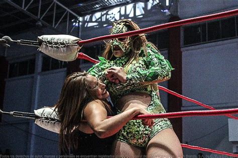 the luchadoras women s wrestling female wrestlers mexican wrestler