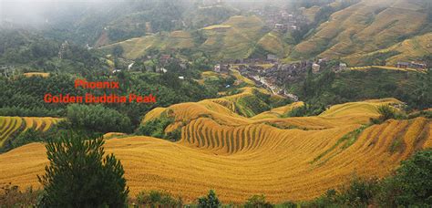 The Jinkeng Rice Terraces Site For Most Awesome Longji Photos