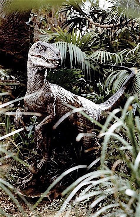 Jurassic Park Practical Effect Velociraptor Footprint Makers