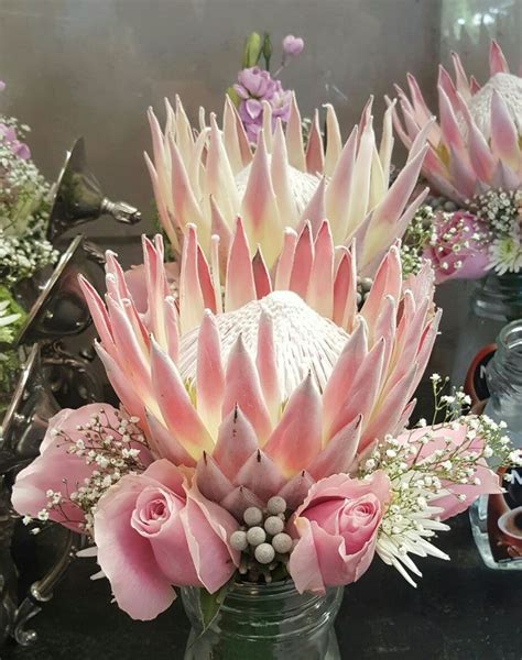 Delicate Elegance Events Vintage Wedding King Protea Roses And Brunia