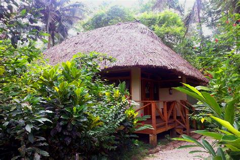 Belize Accommodations Gallery Caves Branch Jungle Lodge Luxury Tree