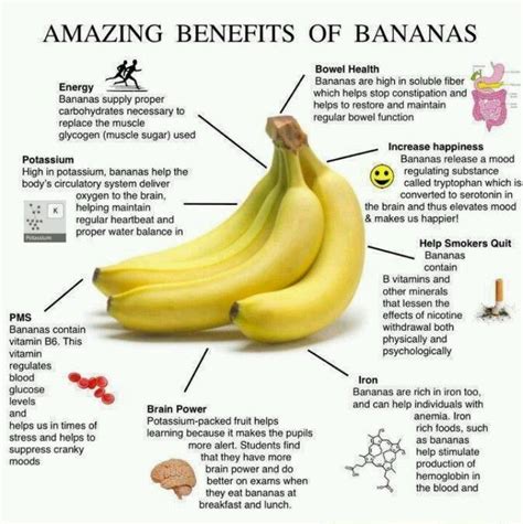 119 cal 1 cup sliced onion: How Much Calories Does The Average Banana Have - Propranolols
