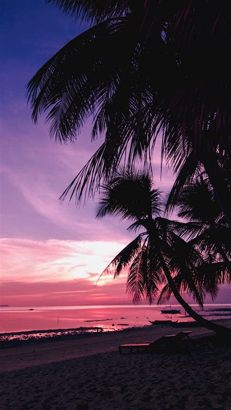 Pink Sunset Palm Trees Beach Tropics