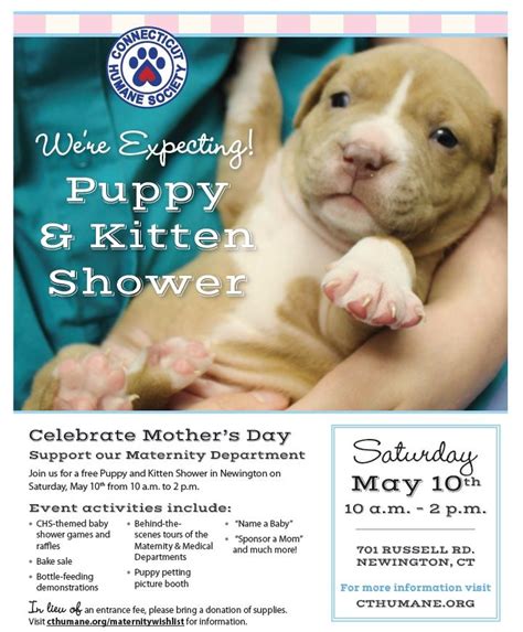Connecticut Humane Society S Puppy Kitten Shower For Shelter Pets