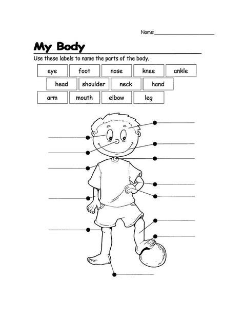 Resultado De Imagen De Parts Of The Body For Kids Ingles Para
