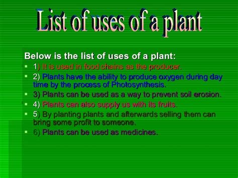 Uses Of A Plant