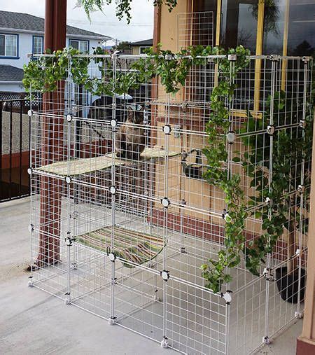 Bespoke cat runs are designed and used to keep your cats safe, secure and exercised outdoors whilst getting fresh air. How to build your own catio from Cat and Caboodle ...