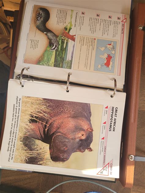 Wildlife Fact Files Complete Collection 11 Groups 8 Binders Etsy