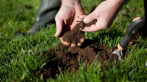 How To Test Your Soil Sod University Sod Solutions