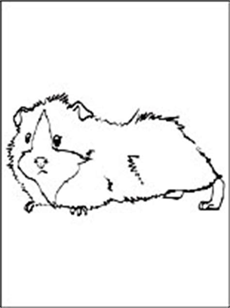 Hamster Kleurplaat