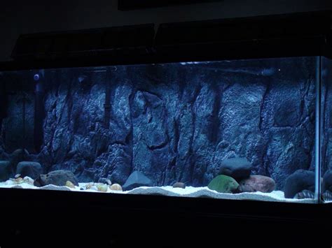 Diy 3d Aquarium Background Dsc01245 300x225 Installing A 3d