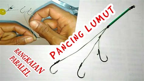 We did not find results for: Ukuran Mata Kail Untuk Ikan Nila