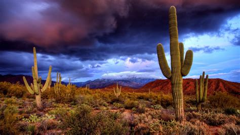 Arizona Desert Wallpapers Top Free Arizona Desert Backgrounds Images