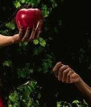 Jun 27, 2021 · the second leads me to wonder why we think of an apple as the forbidden fruit in the garden of eden. Hartford Catholic Biblical School: It's in There... NOT!