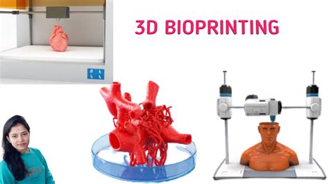 What Is 3d Bioprinting Basic Principles Techniques And Application