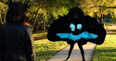 Humans Hilariously Re Enact Iconic Bird Of Paradise Mating Dance Video Boing Boing