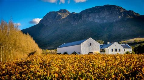 Top 5 Franschhoek Wine Farms An Experience Bookmundi