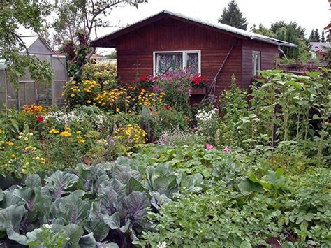 Garten und naturfreundlicher pensionär sucht zwecks aktiver und passiver freizeitgestaltung garten zur pacht kauf bis 20 000 00 eur in berlin und. Kleingarten: Wie man einen bekommt und was dort Pflicht ...