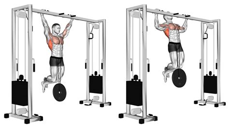 Weighted Pull Up Benefits Muscles Worked And More Inspire Us
