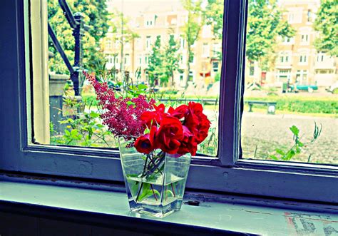 Free Images Plant Flower Spring Green Color Window Sill Art