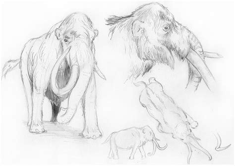 Wooly Mammoth Sketch By Batworker On Deviantart