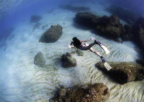 Girl diving in Waimea Bay Maui – Hawaiian Explorer