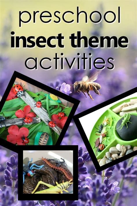 Insect Theme Preschool Activities - Fantastic Fun & Learning | Insects