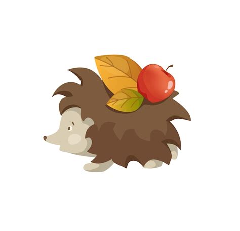 Premium Vector Concept Autumn Forest Hedgehog Leaf The Illustration