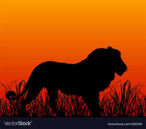 Sunset In Savanna With Lion Royalty Free Vector Image