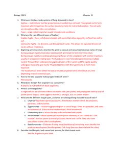Free modern marvels worksheets provide questions for students to answer. Fungi