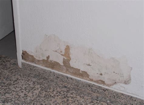 Úsalas para eliminar la molesta humedad que a veces parece tan difícil de hacer desaparecer. hidralite® - sistemas técnicos para la impermeabilización ...