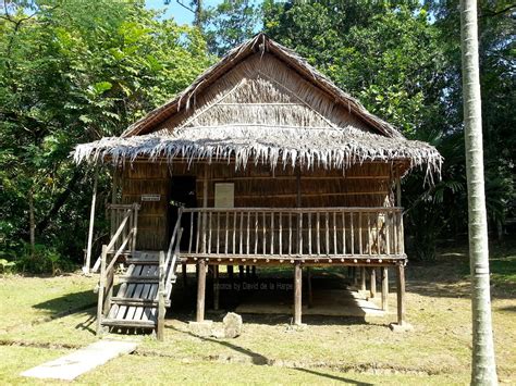 The museum explains how there are 18 different tribes of orang asli divided into 3 main groups. Heritage Village - Sabah Museum | TVOKM