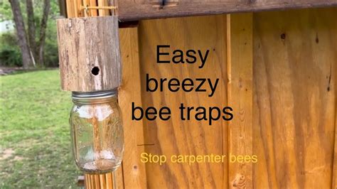 How To Make Carpenter Bee Traps From A Log Youtube