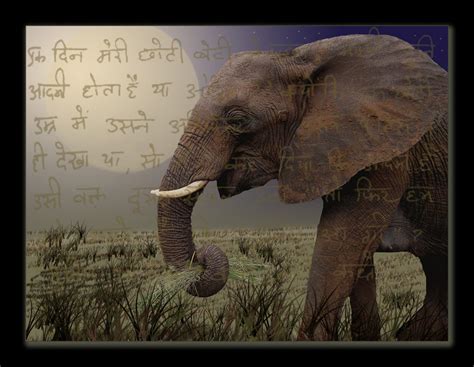 die Seite mit dem Elefant Foto & Bild | fotomontage, digi, digiart