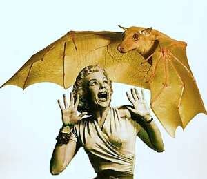 «IL SIMBOLISMO – IL PIPISTRELLO» - Inchiostronero