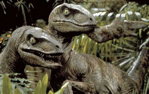 Velociraptor Ficha Jurásica ⚪jurassic Park Amino⚪ Amino