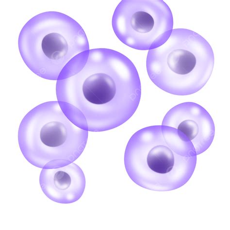 Cell Membrane PNG Image, Microscopic Biology Of Spherical Cell Circular